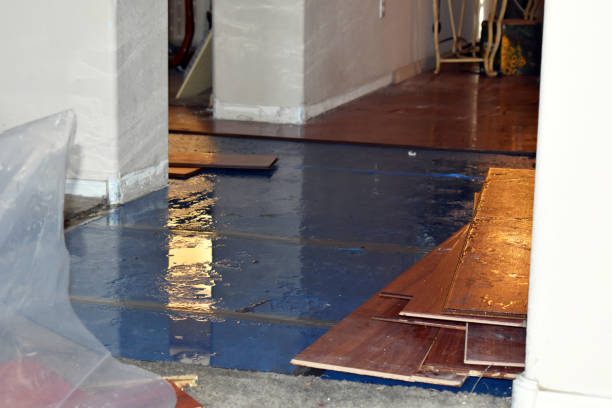 Professional Basement Flood Cleanup technician working in Audubon, IA